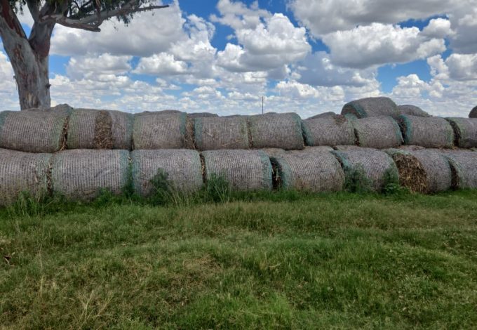 PHOTO-2026-01-07-15-40-17