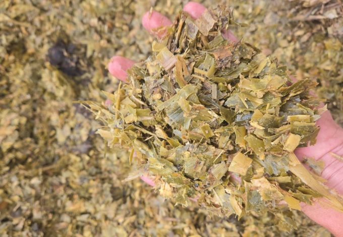 PHOTO-2026-01-07-15-40-41