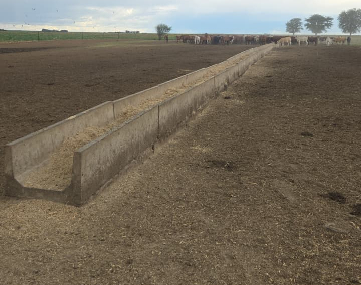 Sement Voerkrippe/ Cement Feeders x100