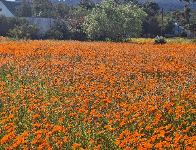 Family Home in Prime Aurora (Between Piketberg and Velddrif) Location