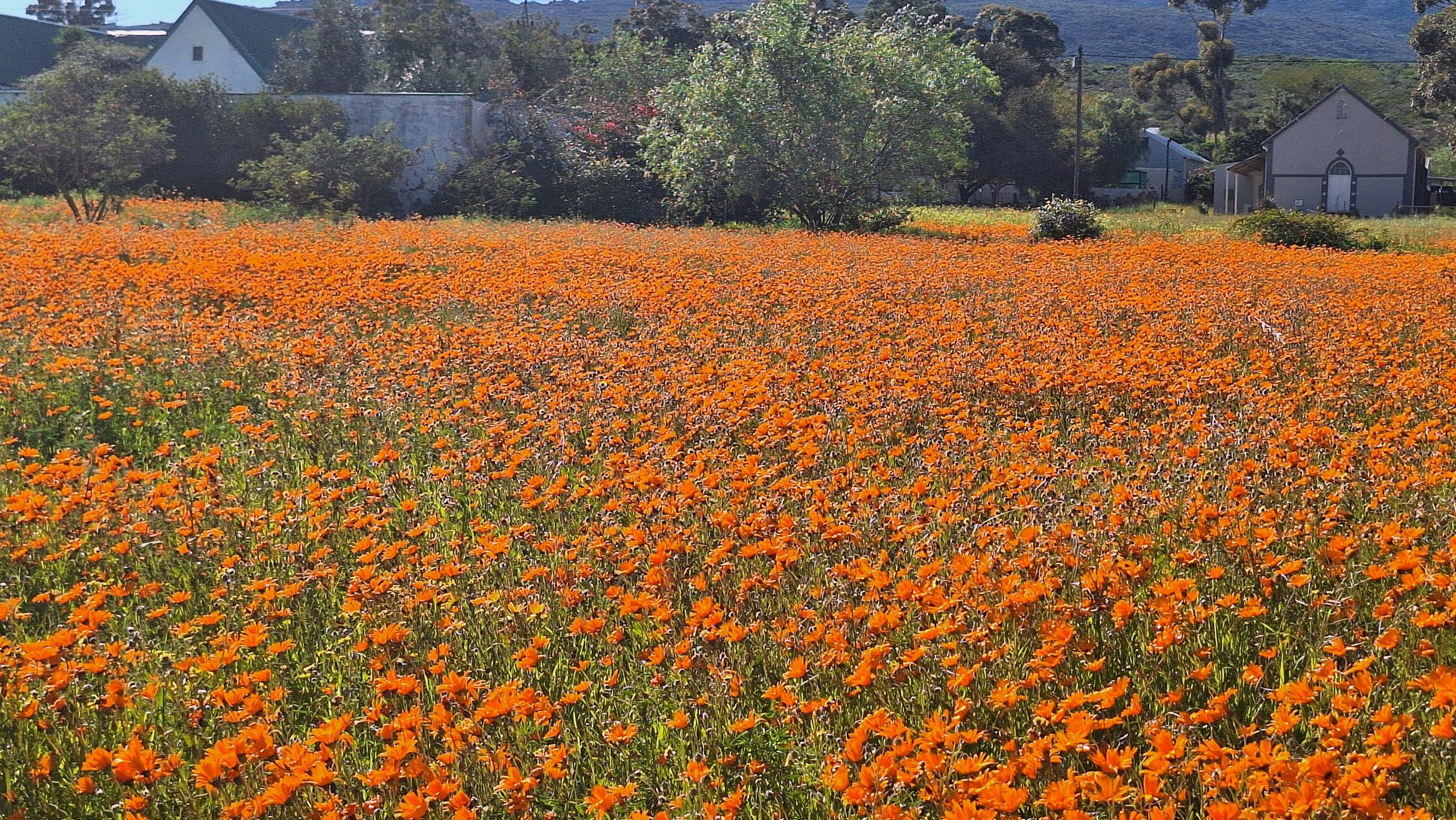 Family Home in Prime Aurora (Between Piketberg and Velddrif) Location