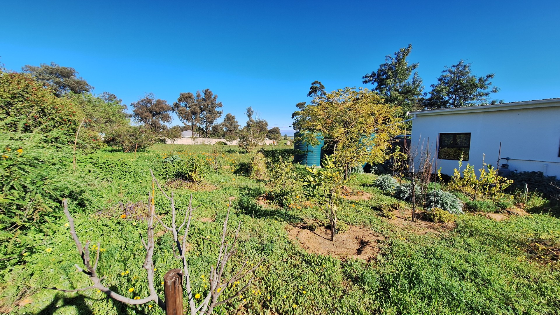 Family Home in Prime Aurora (Between Piketberg and Velddrif) Location