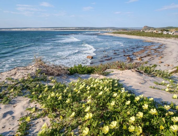 Beachside Beauty – Ground Floor Gem in Elands Bay