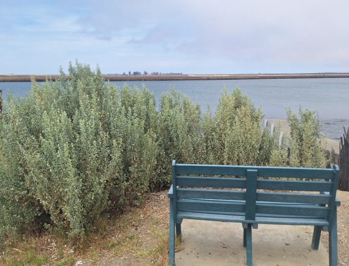 Spacious 2 bedroom apartment in Flamingo Estates – Velddrif