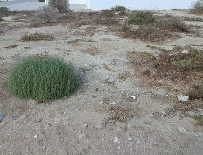 Vacant Stand for Sale in Atlantic Sands South Private Estate – 500m² – No Transfer Duty