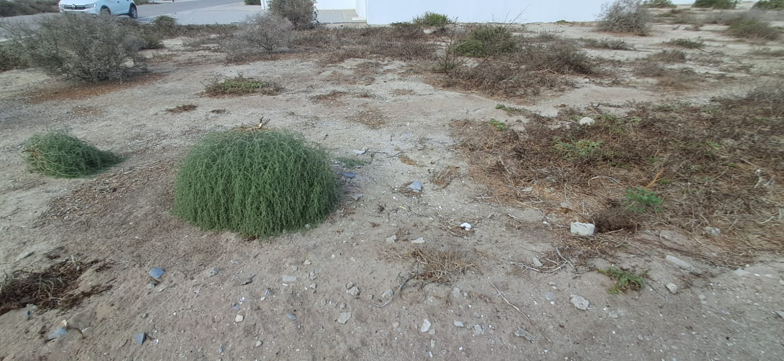 Vacant Stand for Sale in Atlantic Sands South Private Estate – 500m² – No Transfer Duty