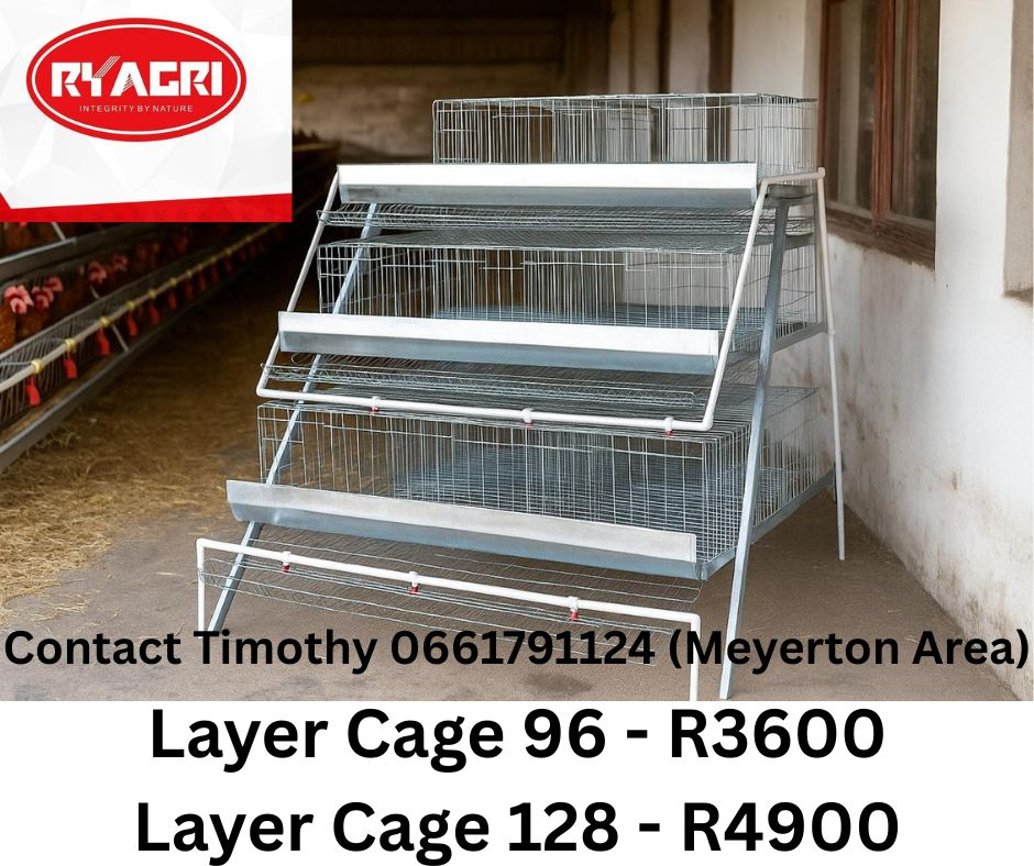 Layer Cages – 96 & 128 Capacity