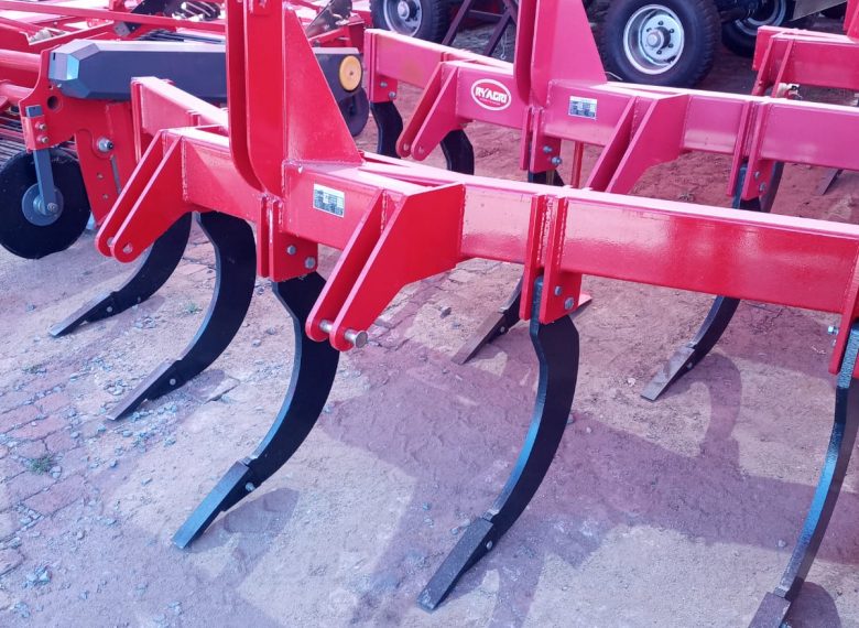 WhatsApp-Image-2025-07-01-at-15.46.38-2