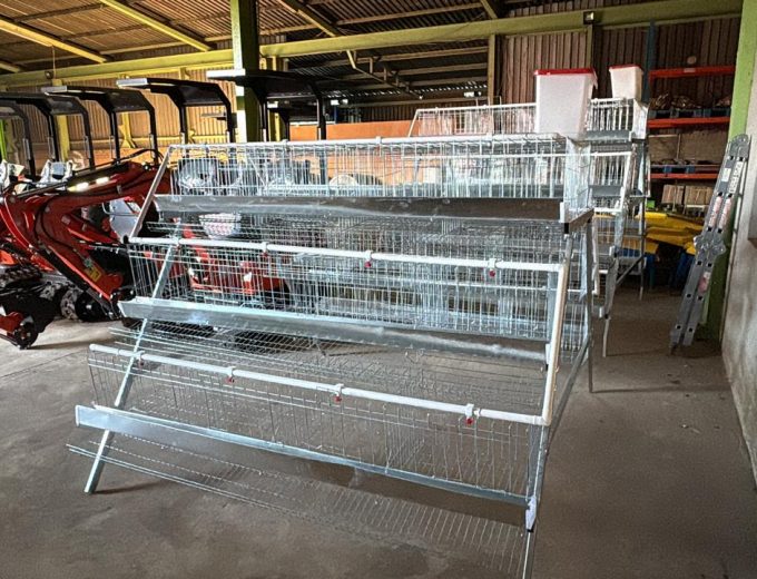 Layer Cages – 96 & 128 Capacity