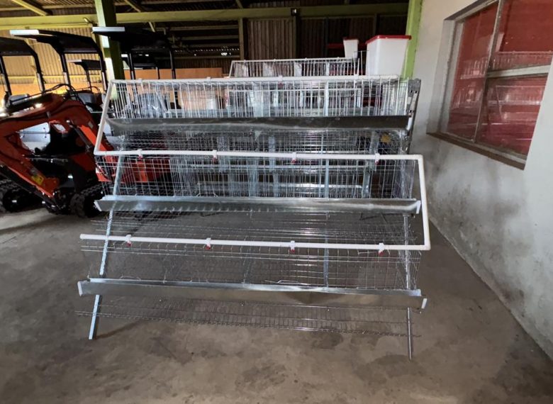 WhatsApp-Image-2025-08-13-at-15.23.37-1