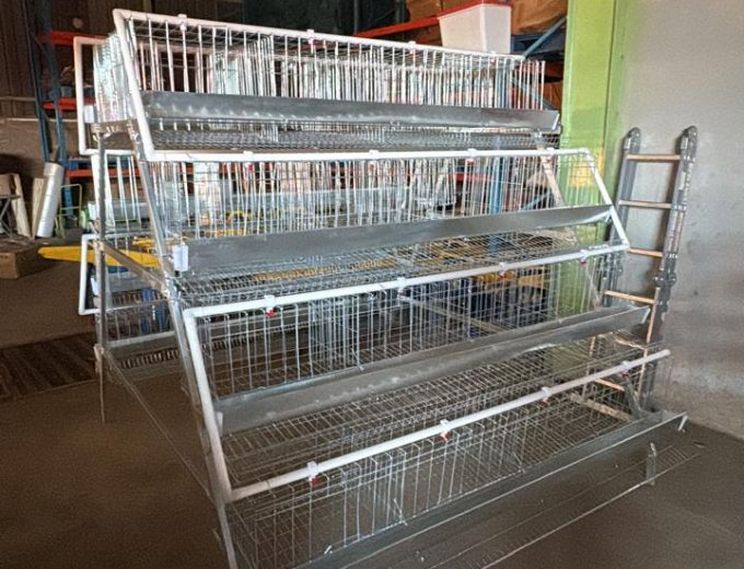 Layer Cages – 96 & 128 Capacity