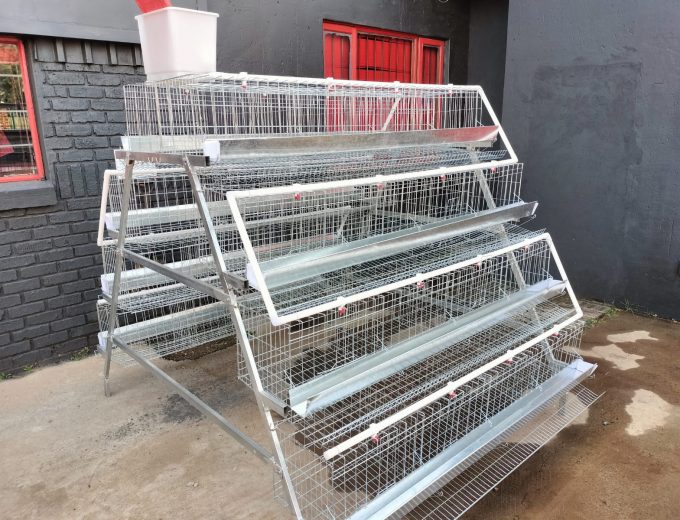 Layer Cages – 96 & 128 Capacity