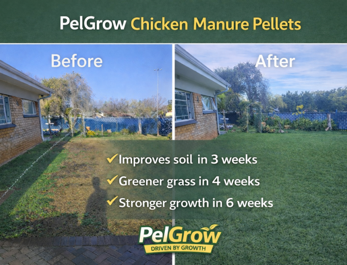 Premium Chicken Manure Fertilizer – PelGrow (Delivery Available)