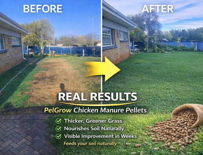 Premium Chicken Manure Fertilizer – PelGrow (Delivery Available)