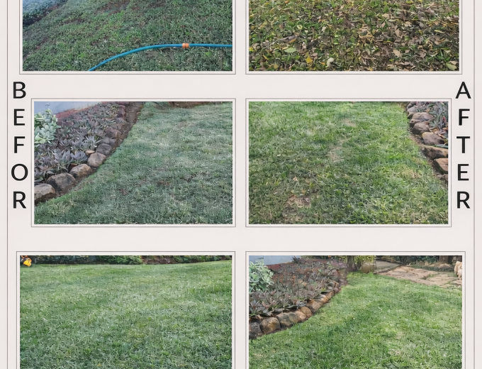 Premium Chicken Manure Fertilizer – PelGrow (Delivery Available)