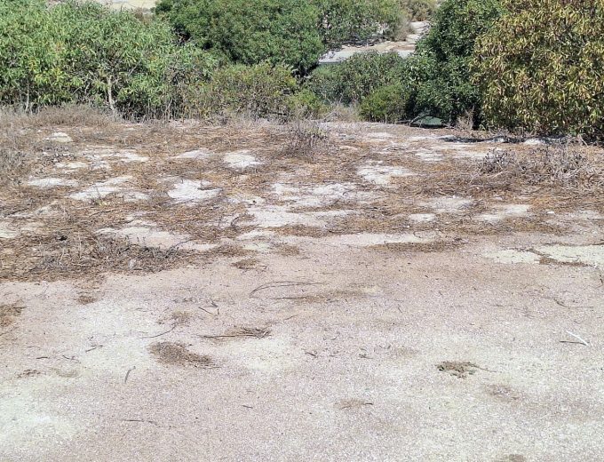 Sought-After Plot with Shared Jetty Rights in Small Secure Complex