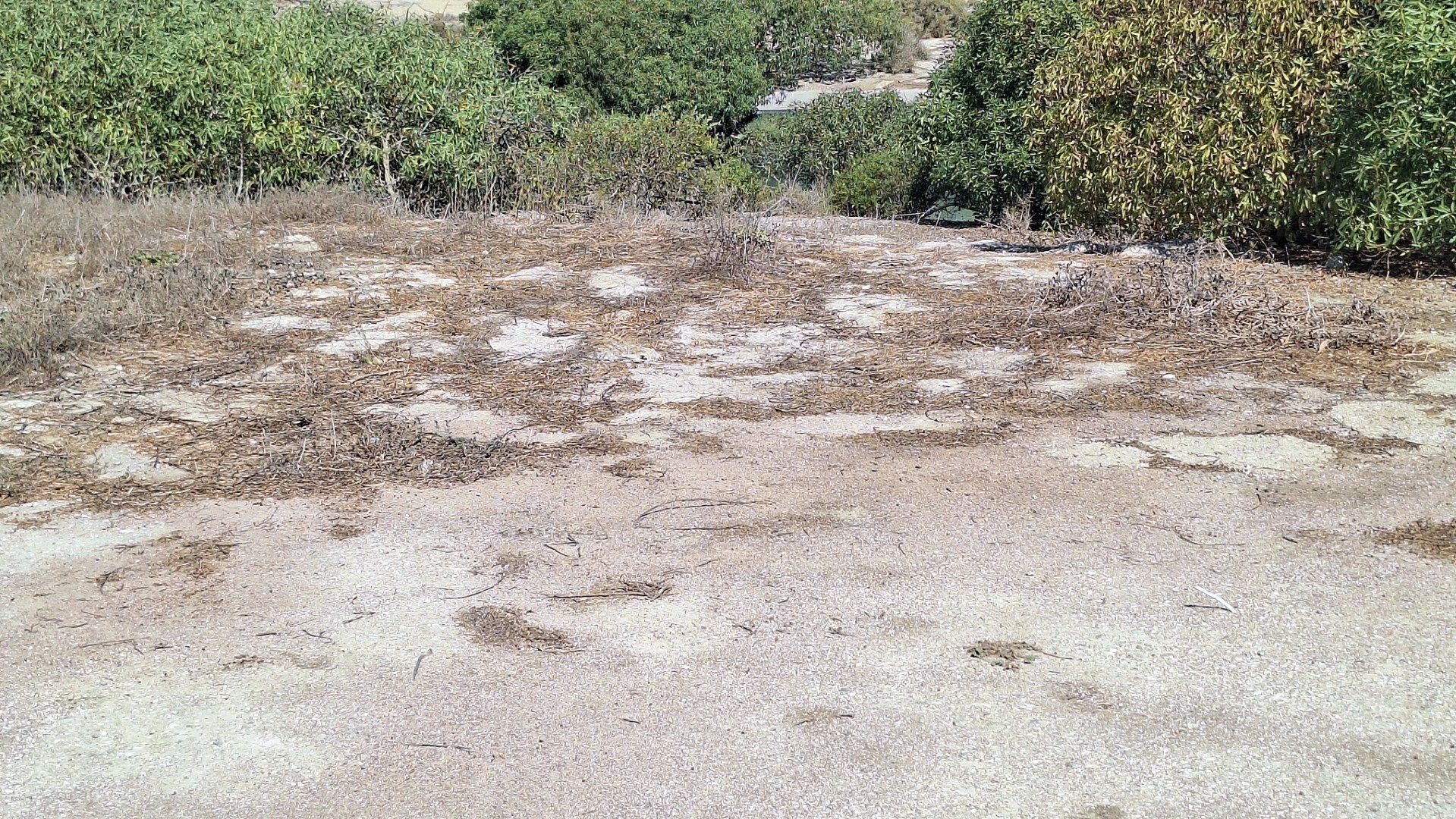 Sought-After Plot with Shared Jetty Rights in Small Secure Complex