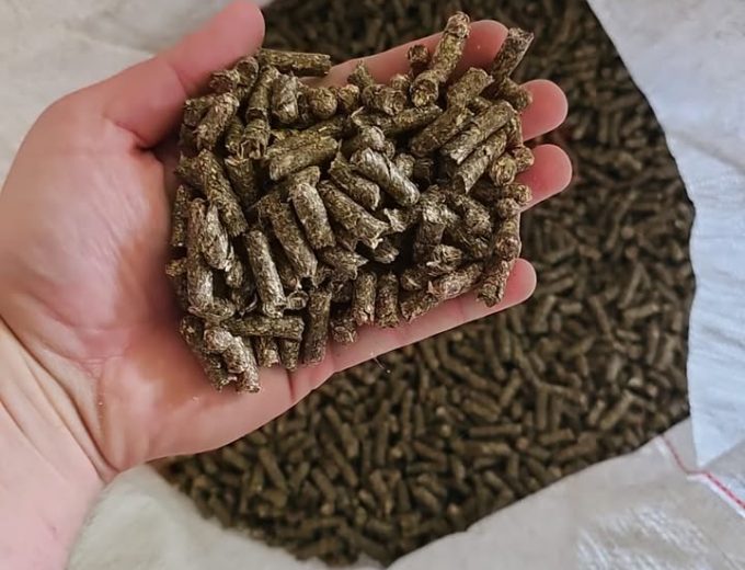 Lucern pellets