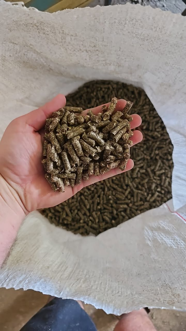Lucern pellets