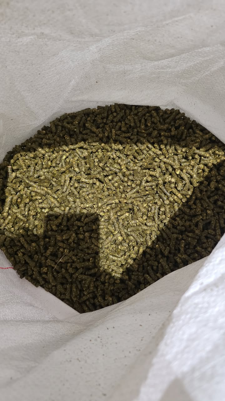 Lucern pellets