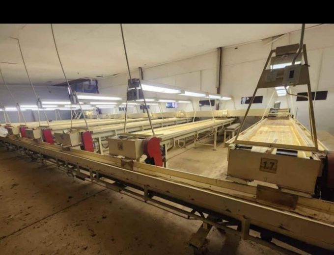 Peanut processing plant