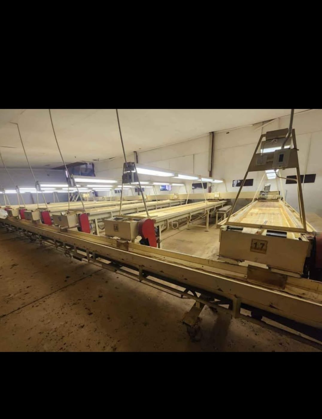 Peanut processing plant