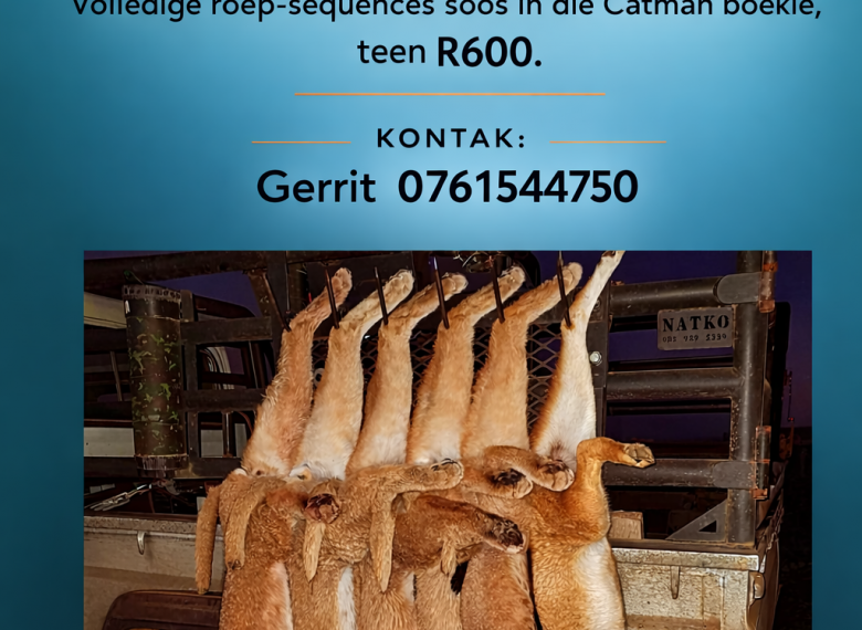 inbound7744176746942394896