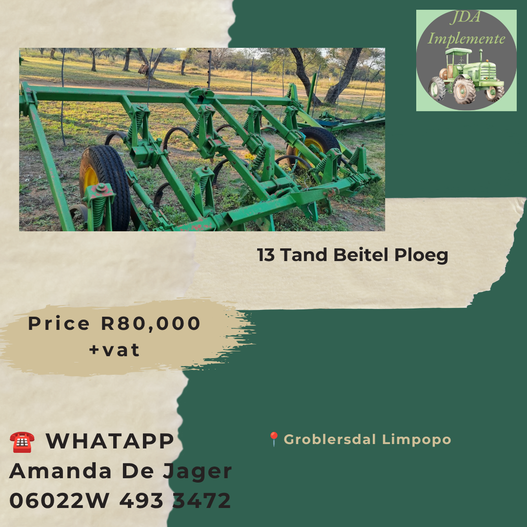 13 Tand Beitel Ploeg