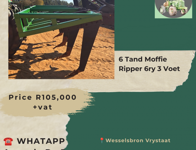 6 Tand Moffie Ripper 6ry 3voet